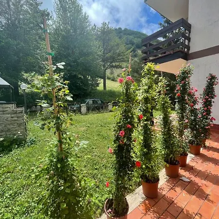 Casa Garden Clara *